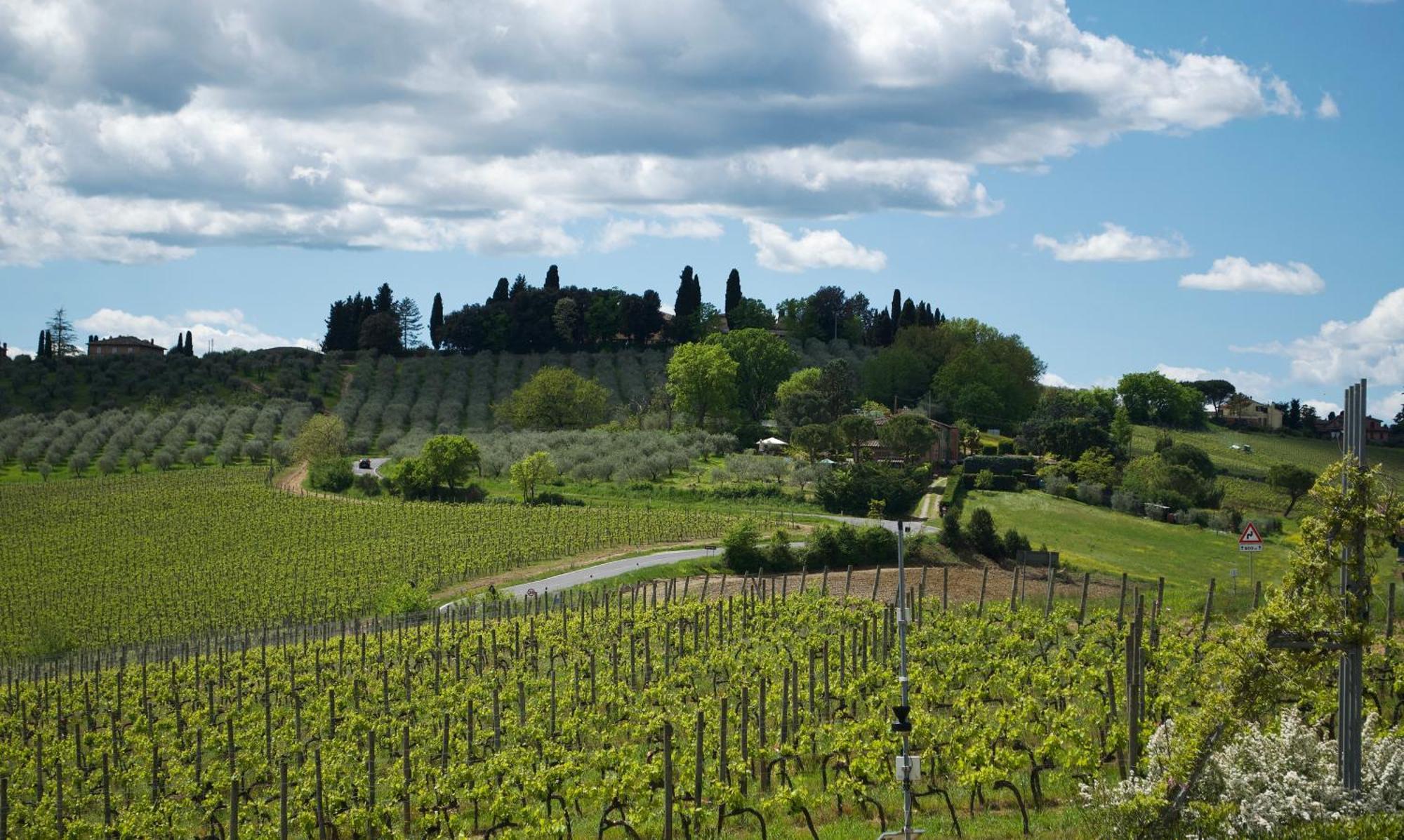 Villa Il Castagno Wine & Resort Siena Eksteriør billede